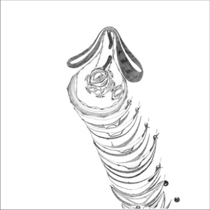 cover of the release